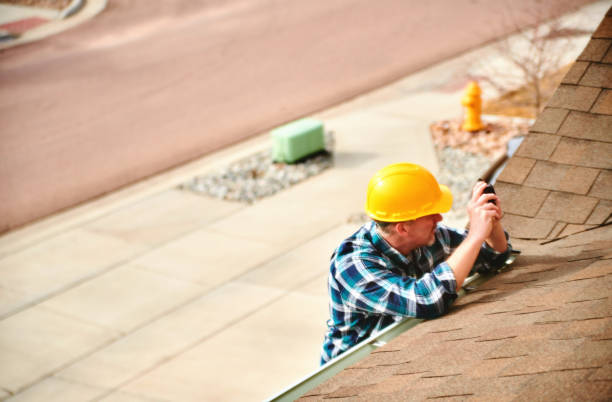 Best Gutter Installation and Roofing  in Woodland Park, NE