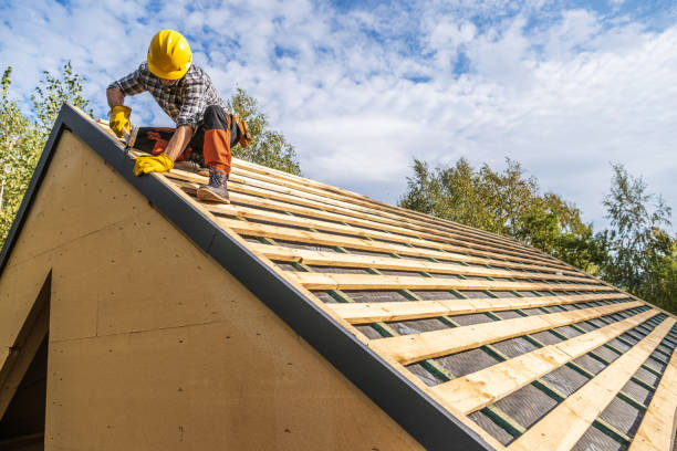 Best Roof Replacement Cost  in Woodland Park, NE