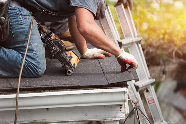 Best Roof Replacement Cost  in Woodland Park, NE