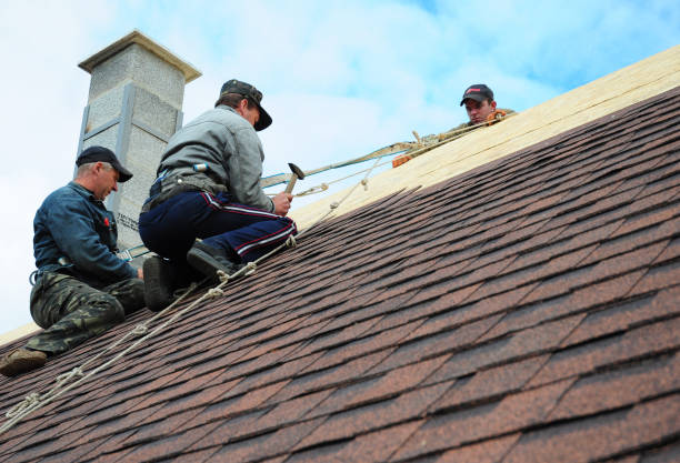 Best Emergency Roof Repair  in Woodland Park, NE